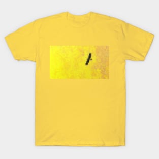 Eagle above the sun T-Shirt